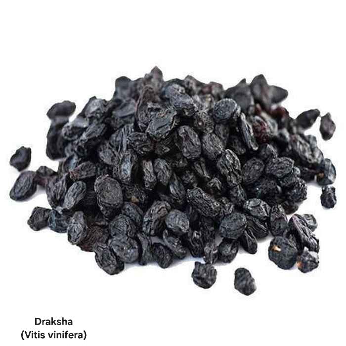 WhatsApp Image 2025-04-04 at 11.57.55 AM (1).jpeg